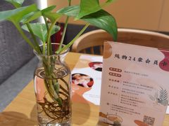 -炖物24章·顺时轻养茶(黄龙店)