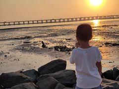 -宝安西湾红树林湿地公园