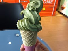 -萨朗刀克冰淇淋雪花凉(植物园店)