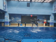-锦艺城海洋馆