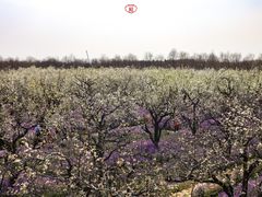 -江苏三台山国家森林公园