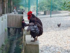 -南京金牛湖风景区