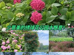 -渭滨公园