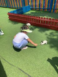 -萌宠亲子动物乐园(槐房万达店)