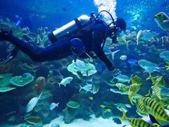 -成都浩海立方海洋公园