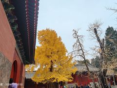 -承恩寺