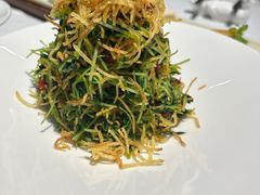 巧拌豆苗-四季民福烤鸭店(王府井灯市口店)