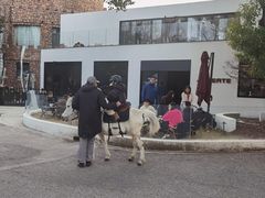 -J Create城市露营咖啡·简餐·宠物(上海动物园店)