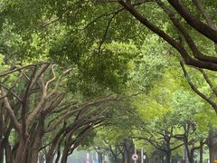 -星巴克(常州新北公园店)