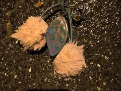 -安徽省地质博物馆