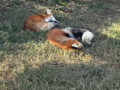 -武汉动物园