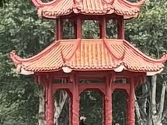 -四川大学(望江校区)