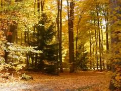 -回龙观体育文化公园