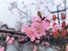 -宝墨园景区