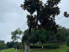 -滨湖塘西河公园