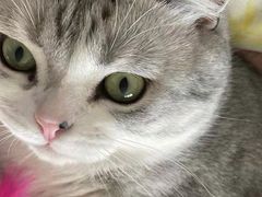 -宠福鑫康馨动物医院·骨科·眼科