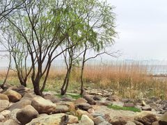 -上海吴淞炮台湾国家湿地公园