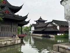 -鲁镇