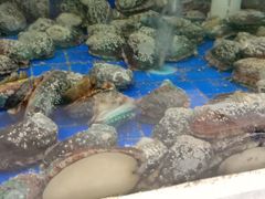 -金瑞轩大酒楼·顺德鱼生·粤菜海鲜(东江国际店)