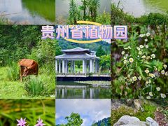 -贵州省植物园