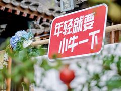 -巴巴新生活·四合院会议·疗愈团建.品牌活动