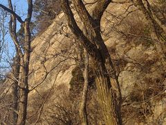 -终南山南五台景区