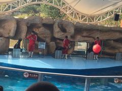 -泉州海丝野生动物世界