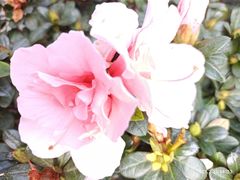 -成都市文化公园