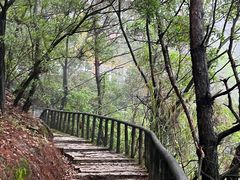 -漳州云洞岩风景区-瑞竹岩