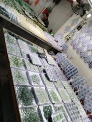 -华林国际玉器城(康王中路)