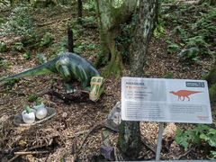 -悉尼蓝山三姐妹峰