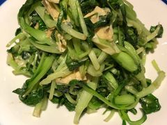 腐皮鸡毛菜-吴莊(龙城万科里店)