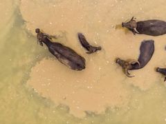 -Club Med地中海俱乐部·桂林度假村