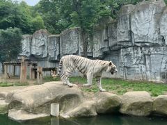 -常州淹城野生动物世界