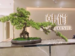 -HQ半永久纹绣纹眉