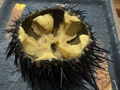 -海胆小馆(东北水饺·春柳店)