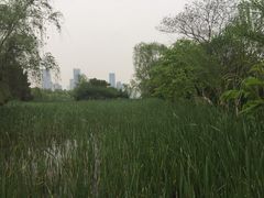 -天鹅湖体育公园