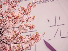 -龙美术馆(西岸馆)