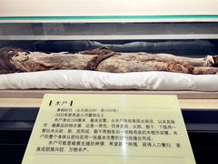 -巴音郭楞蒙古自治州博物馆