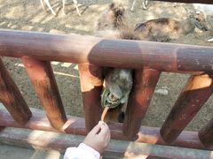 -无锡动物园·太湖欢乐园