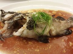 沙巴龙趸鱼-海逸海鲜酒家(古北店)