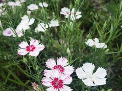 -瀛海足球主题公园