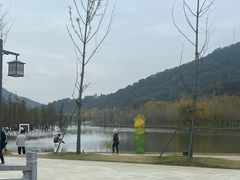 -千年银杏谷文化旅游区