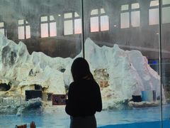 -帝企鹅自助餐厅•儿童岛•真企鹅(长隆企鹅酒店)