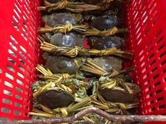 -一哥美食(总店)