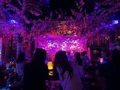 -周庄红庭演艺酒吧