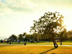 android_upload_pic-三亚亚龙湾红树林度假酒店