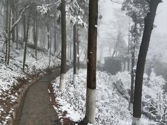 -莫干山风景区