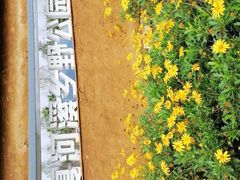 -夏河溪乡野公园
