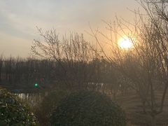 -东郊湿地公园
